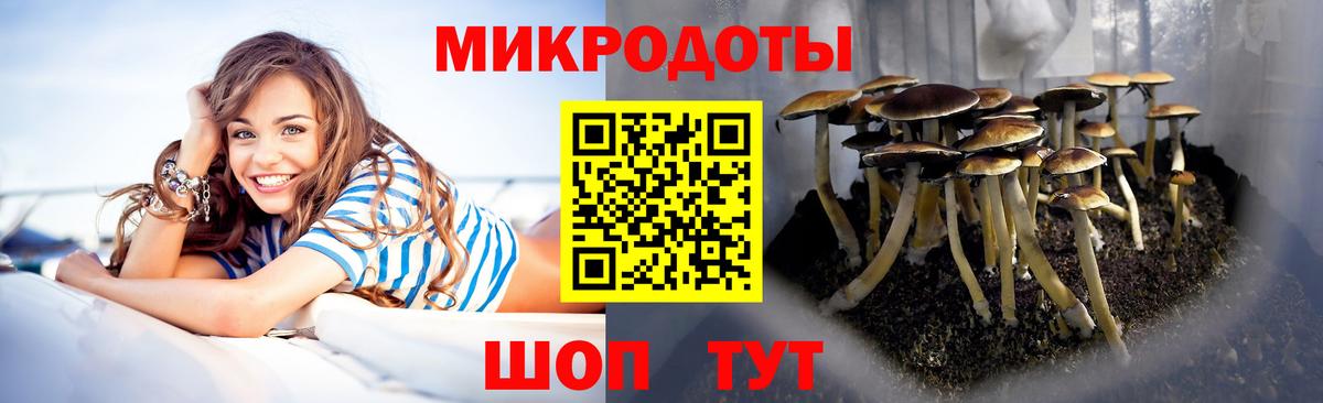 Торжок  магазин  наркотиков  Вход с VPN  Галлюциногенные грибы Cubensis  Галлюциногенные грибы мицелий 